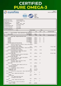 Lab Report 1